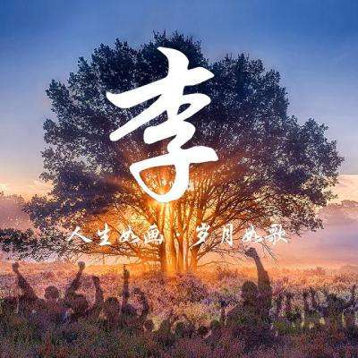 果盘掌机数码世界手游下载